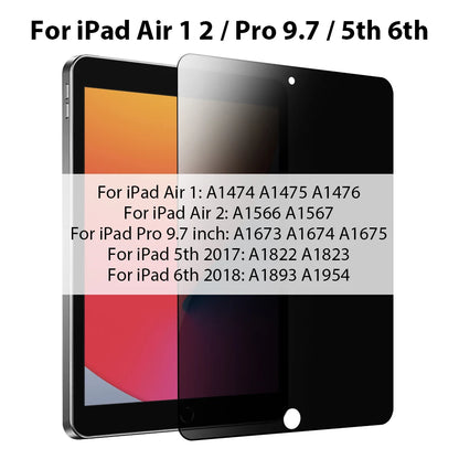 iPad Privacy Glass Protector
